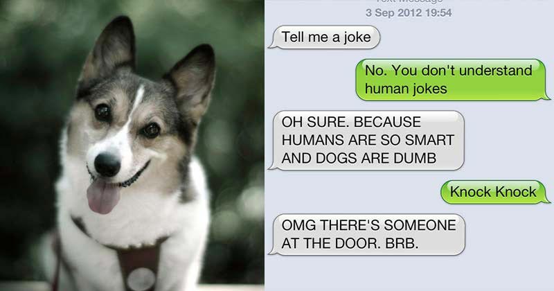 Texts From Dog
