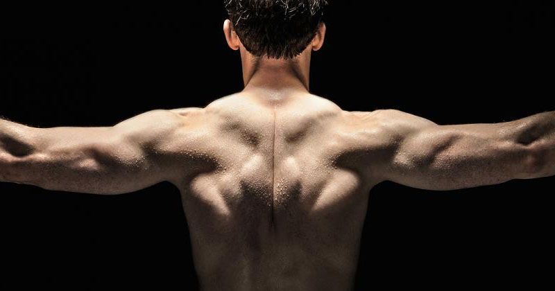 5 Of The Most Idiotic Myths About Getting A Ripped Body That Are Still ...