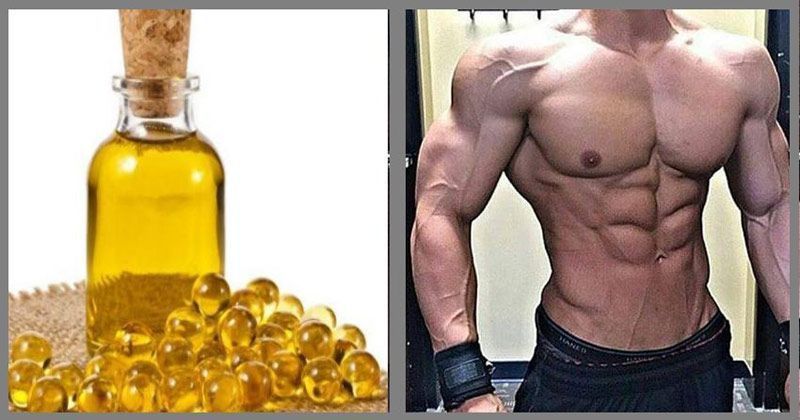 Benefits Of Fish Oil In Bodybuilding: How Fish Oil Helps You To Recover ...