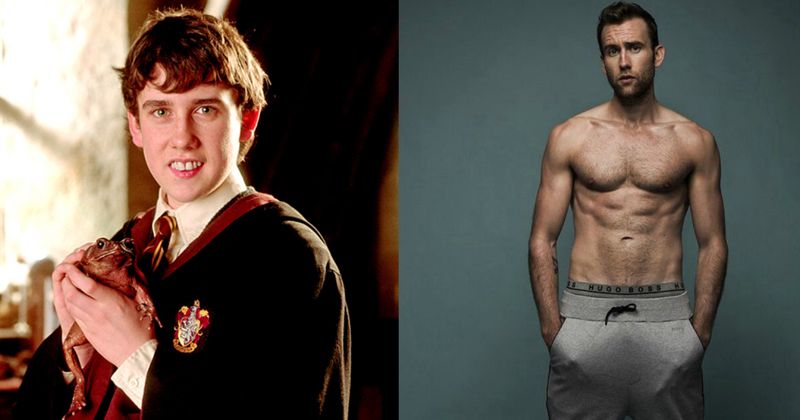 Longbotom Neville Longbottom From Harry Potter Has Longbottomed Again Is Looking ...