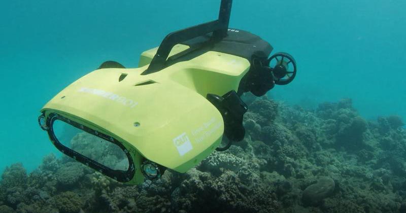 The Great Barrier Reef Is Being Protected From Invaders By A Killer Drone