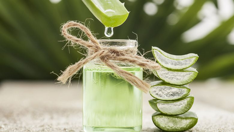 Homemade Aloe Vera Gel: सिर्फ एलोवेरा की पत्ती से बनाएं होममेड जेल, जानें सही तरीका और सावधानियां 5 06 5e7b0062cbea1
