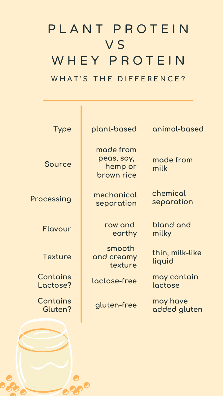 Plant Protein Vs Whey Protein: Which Is The Best Protein Supplement For  Your Body