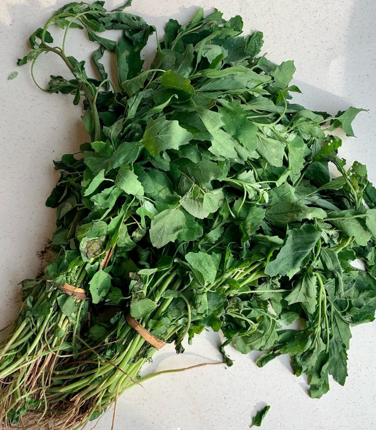 Bathua Health Benefits: खून करता है साफ, कब्जियत होगी बीते दिनों की बात ...