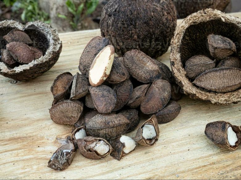 8 Benefits of Eating Brazil Nuts: Why Brazil Nuts Are Good for the Body's  Health