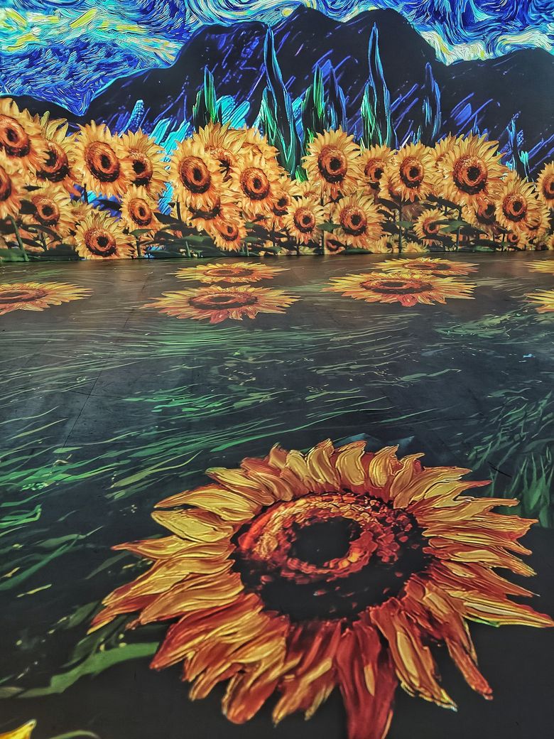Van Gogh & Da Vinci Immersive Show in Delhi: Will Gen Z Now See