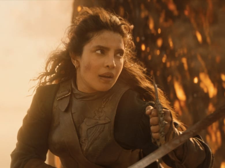 Priyanka Chopra To Play Rita Repulsa In The New Power Rangers Series? Here's What We Know