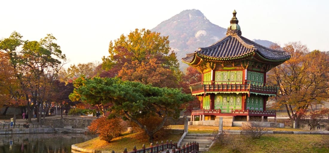 The Ultimate Bridge: Why Language is the Secret to Navigating a Global ...