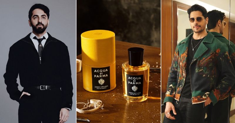 Cedarwood, Sandalwood, Dry Woods — Could Woody Scents Be The Antidote To A Screen-Saturated Life?